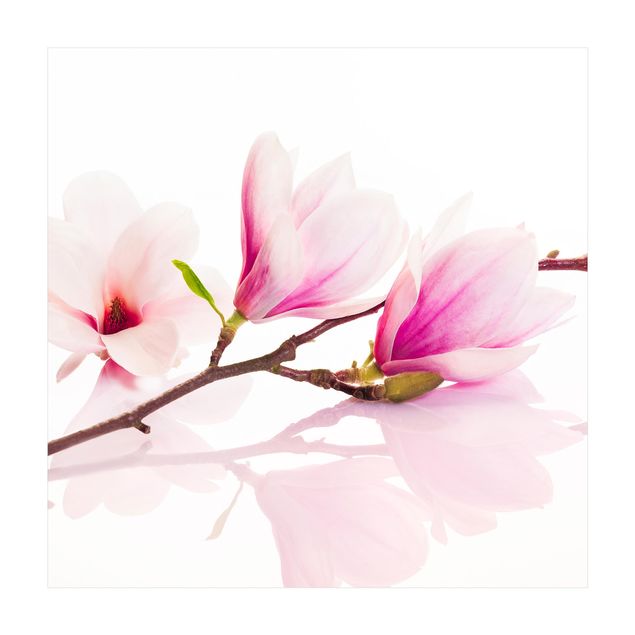 Tappeti rosa Delicato ramo di magnolia