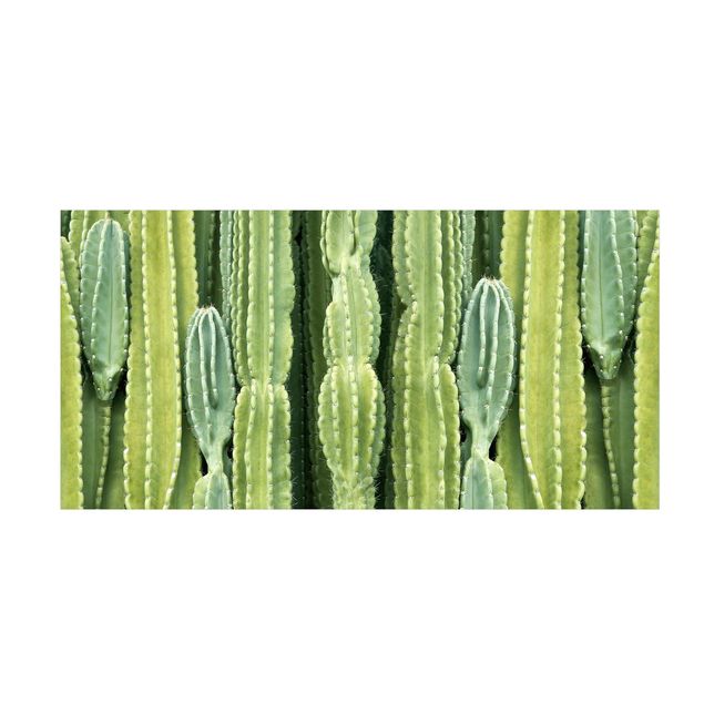 Tappeto verde Muro di cactus