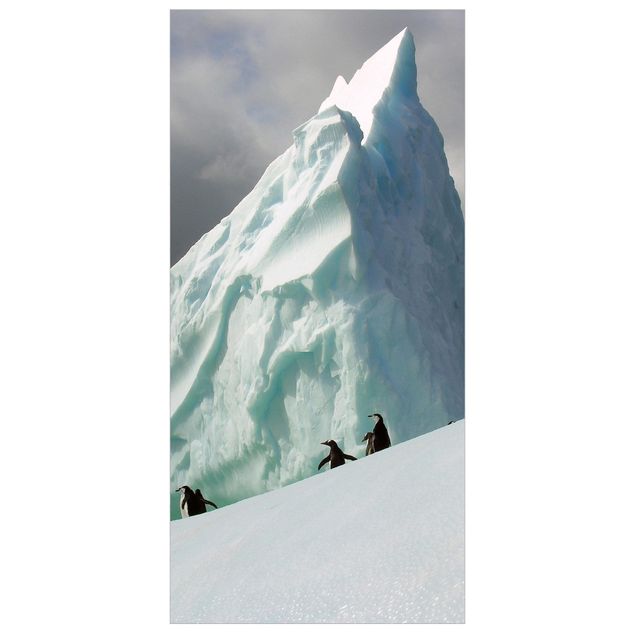 Tenda a pannello Arctic Penguins 250x120cm