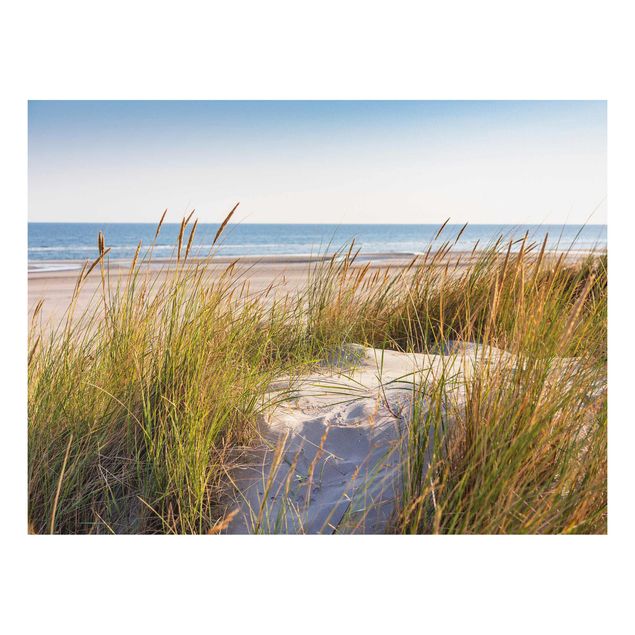 Stampa su Forex - Beach Dune Al Mare - Orizzontale 3:4
