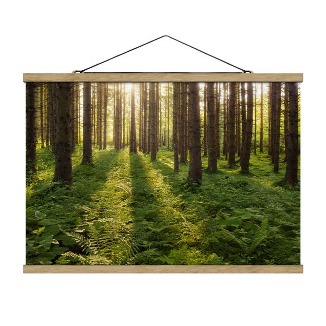 Foto su tessuto da parete con bastone - Raggi di Sun nel verde della foresta - Orizzontale 2:3