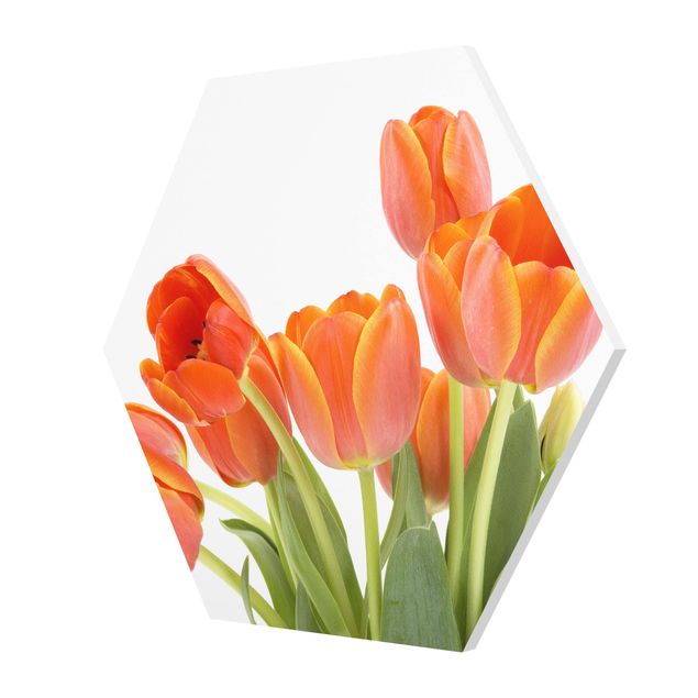 Esagono in forex - No.191 Tulipani