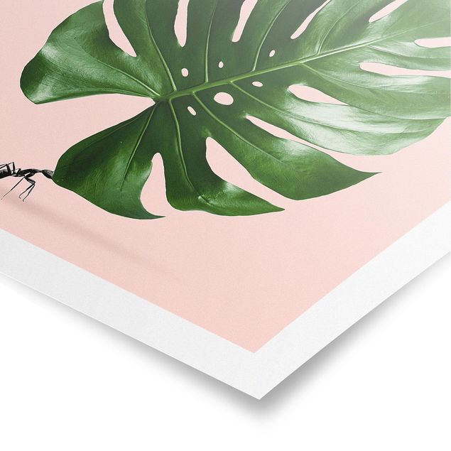 Poster - Ant con Leaf Monstera - Quadrato 1:1