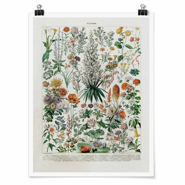 Poster - Vintage Consiglio Flowers I - Verticale 4:3