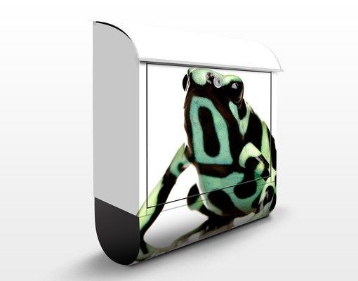 Cassetta postale Zebra Frog 39x46x13cm