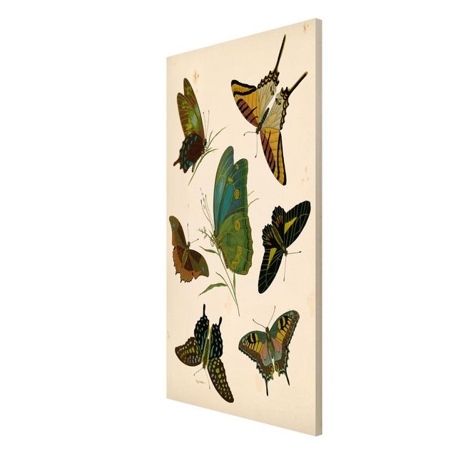Lavagna magnetica - Illustrazione Vintage farfalle esotiche - Formato verticale 4:3