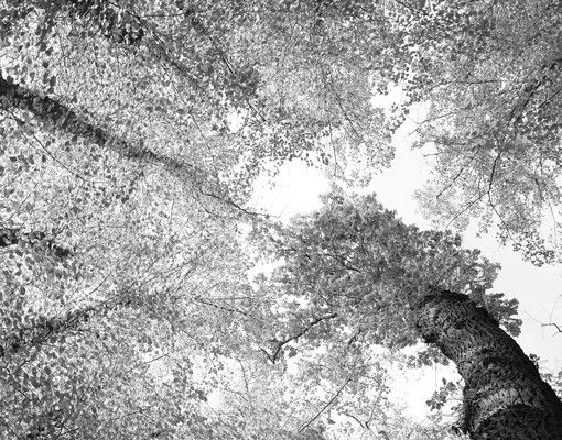 Cassetta postale Trees Of Life II 39x46x13cm