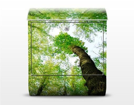 Cassetta postale Trees Of Life 39x46x13cm