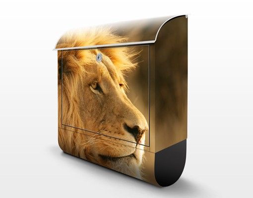 Cassetta postale King Of Lions 39x46x13cm