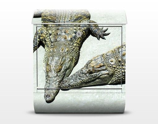Cassetta postale Crocodile Romance 39x46x13cm