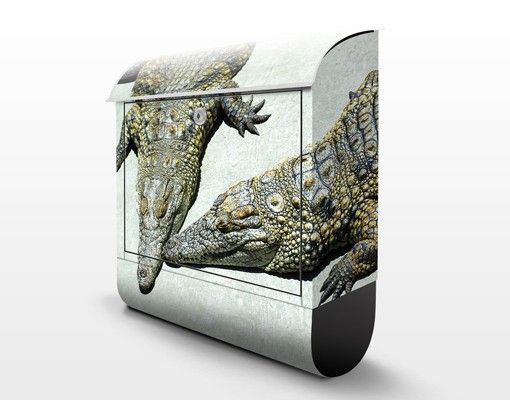 Cassetta postale Crocodile Romance 39x46x13cm