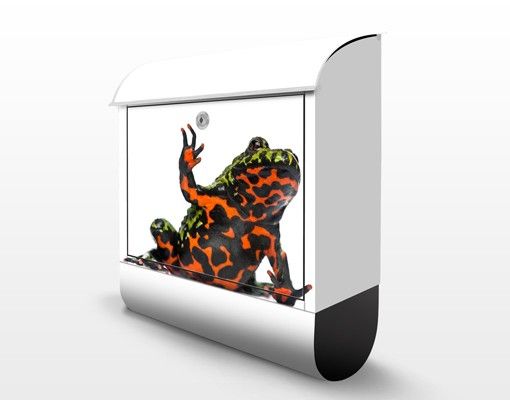 Cassetta postale Oriental Fire-Bellied Toad 39x46x13cm
