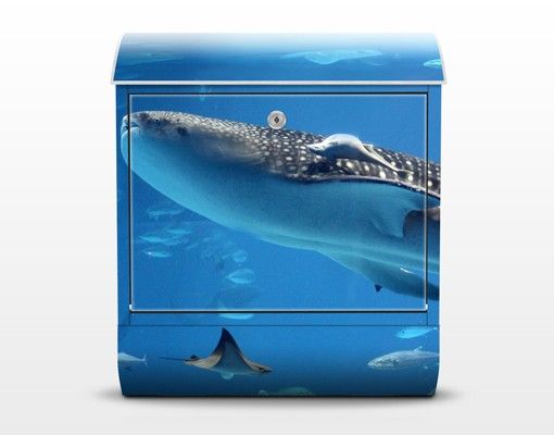 Cassetta postale Fish in the Sea 39x46x13cm