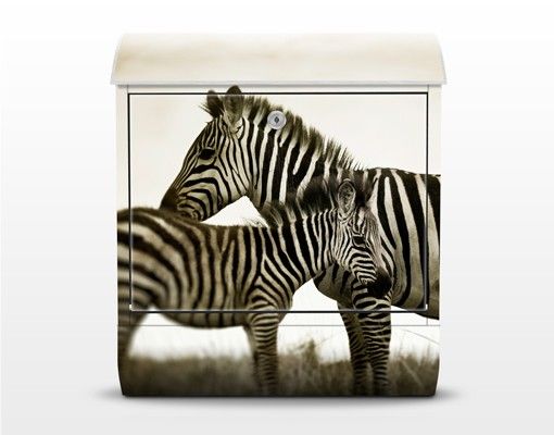 Cassetta postale Zebra Pair 39x46x13cm