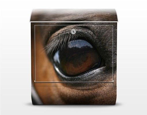 Cassetta postale Horse Eye 39x46x13cm