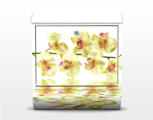 Cassetta postale design Dreamy Orchid Waters 39x46x13cm