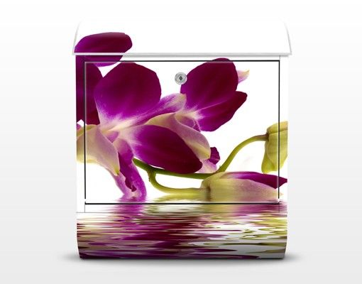 Cassetta postale Pink Orchid Waters 39x46x13cm