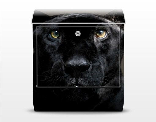 Cassetta postale Black Puma 39x46x13cm