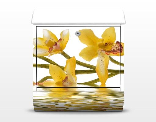 Cassetta postale design Saffron Orchid Waters 39x46x13cm