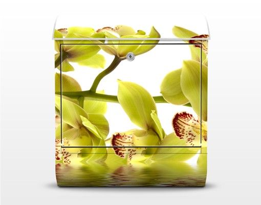 Cassetta postale design Splendid Orchid Waters 39x46x13cm