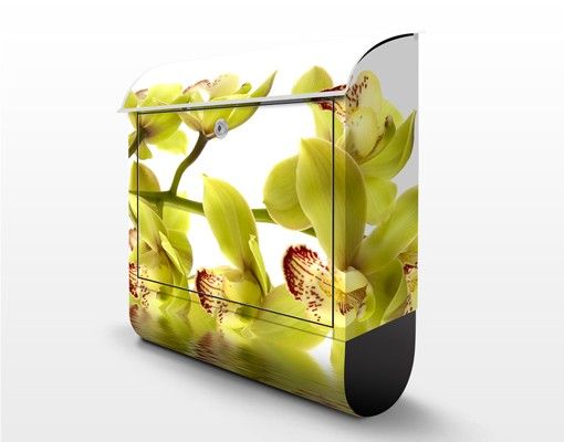 Cassetta postale design Splendid Orchid Waters 39x46x13cm