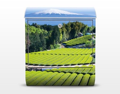 Cassetta postale Tea Fields In Front Of The Fuji 39x46x13cm