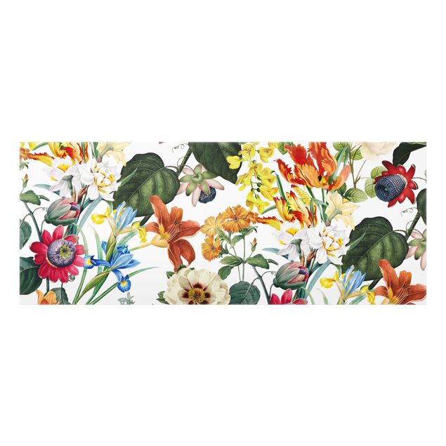 Paraschizzi - Magnifici fiori colorati