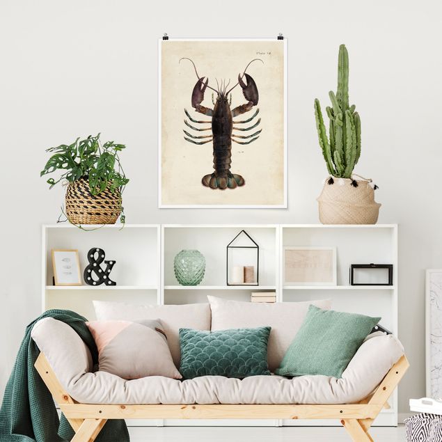 Poster illustrazioni Illustrazione vintage dell'aragosta