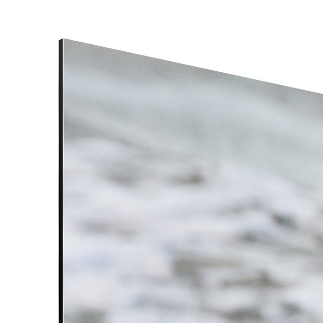 Stampa su alluminio spazzolato - Gabbiano Sulla Spiaggia Di Fronte Al Mare - Quadrato 1:1