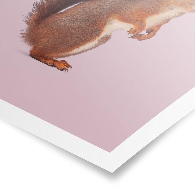 Poster - scoiattoli - Verticale 4:3