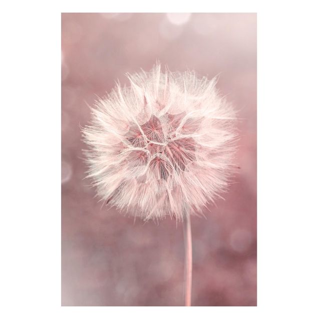 Lavagna magnetica - Dandelion rosa bokeh - Formato verticale 2:3