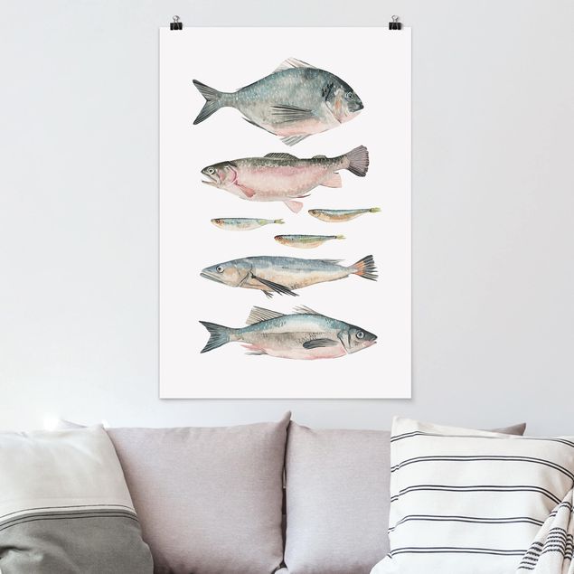 stampe animali Sette pesci in acquerello II