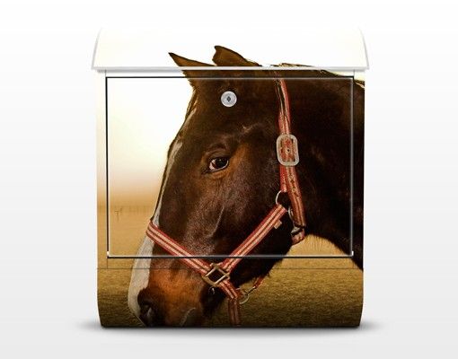 Cassetta postale Early Horse 39x46x13cm