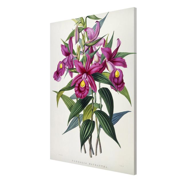 Lavagna magnetica - Maxim Gauci - Orchid I - Formato verticale 2:3