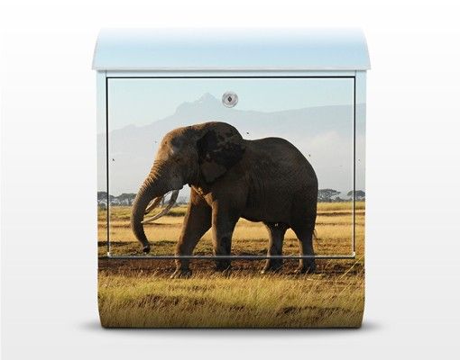 Cassetta postale Elephants In Front Of The Kilimanjaro In Kenya 39x46x13cm