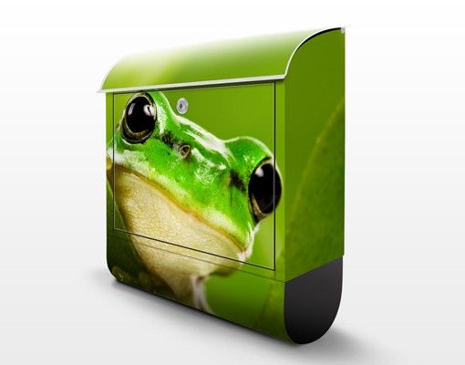 Cassetta postale Tree Frog 39x46x13cm