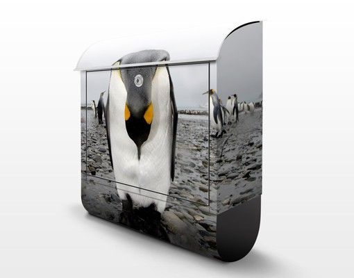 Cassetta postale Pinguin 39x46x13cm