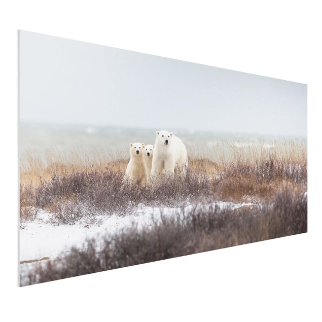 quadri con animali Orso polare e i suoi cuccioli
