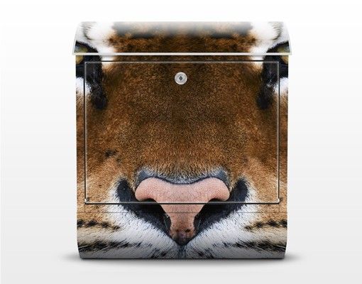 Cassetta postale Tiger Eyes 39x46x13cm