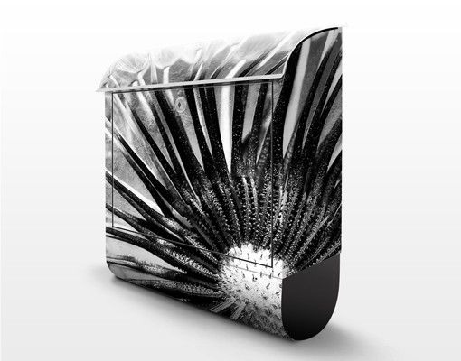 Cassetta postale Black & White Dandelion 39x46x13cm