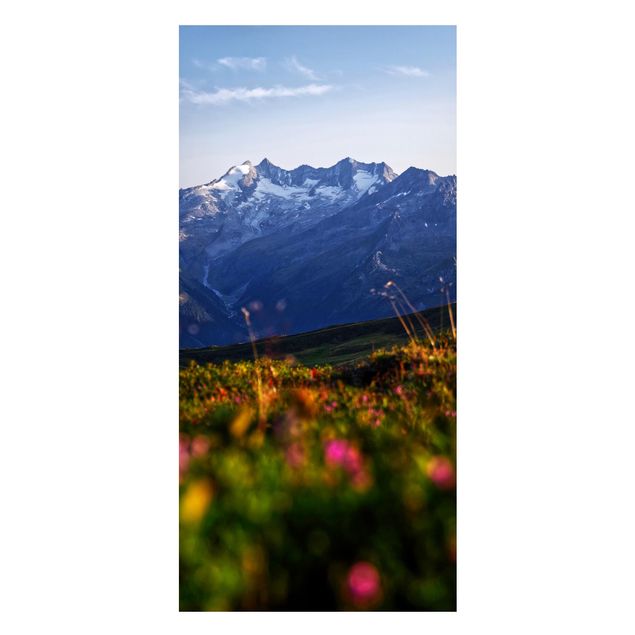 Lavagna magnetica - Prato fiorito nelle montagne