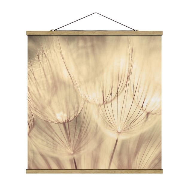 Quadro su tessuto con stecche per poster - Dandelions close-up in tonalità seppia casalinga - Quadrato 1:1