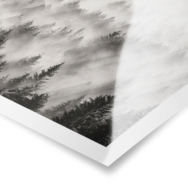 Poster - Raggi Luce nella foresta di conifere - Panorama formato orizzontale