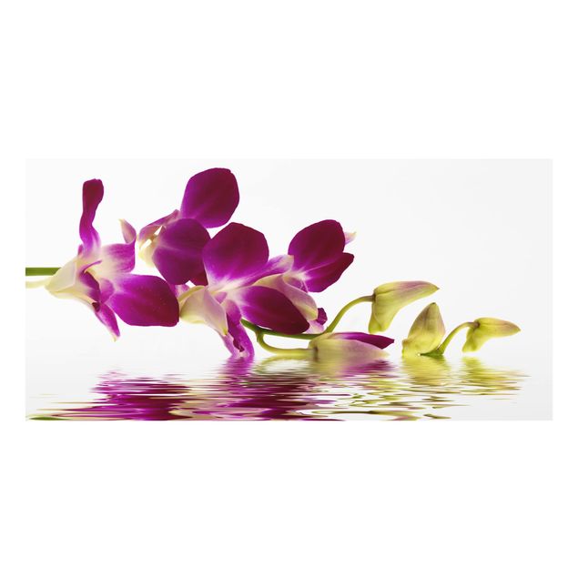 Paraschizzi in vetro - Pink Orchid Waters