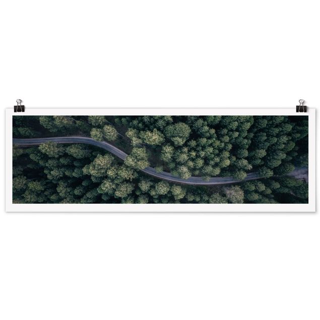 Poster - Veduta aerea - Forest Road From The Top - Panorama formato orizzontale
