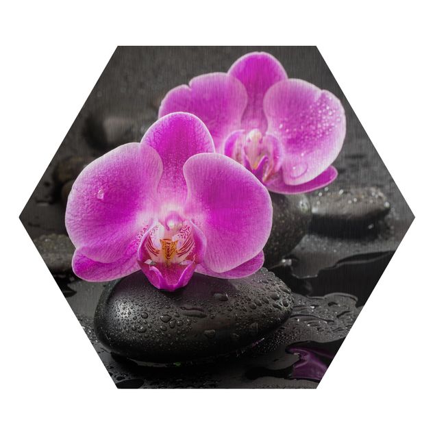 Esagono in Alluminio Dibond - Pink Orchid Fiori Sulle Pietre Con Le Gocce