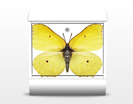 Cassetta postale Brimstone Butterfly 39x46x13cm