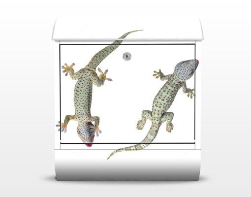 Cassetta postale Nosey Geckos 39x46x13cm