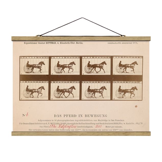 Foto su tessuto da parete con bastone - Eadweard Muybridge - Il Cavallo In Motion - Orizzontale 2:3