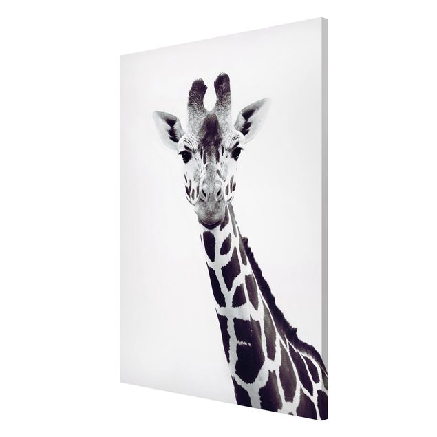 Lavagna magnetica nero Ritratto di giraffa in bianco e nero